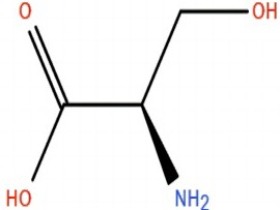 D-絲氨酸  D-serine 312-84-5
