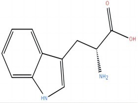 D-色氨酸 D-tryptophan 153-94-6