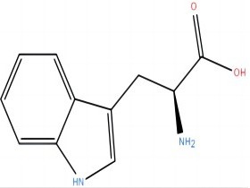 L-色氨酸 L-tryptophan 73-22-3